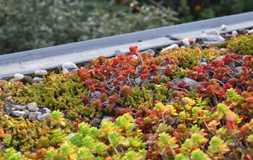 the cost of Boon Hill green roof installation