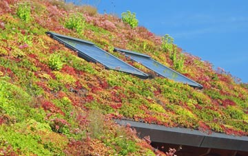 Boon Hill living roof systems