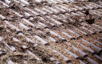 Boon Hill roof cleaning companies