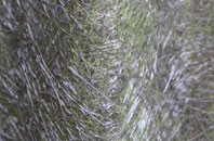 Boon Hill fibreglass roof work